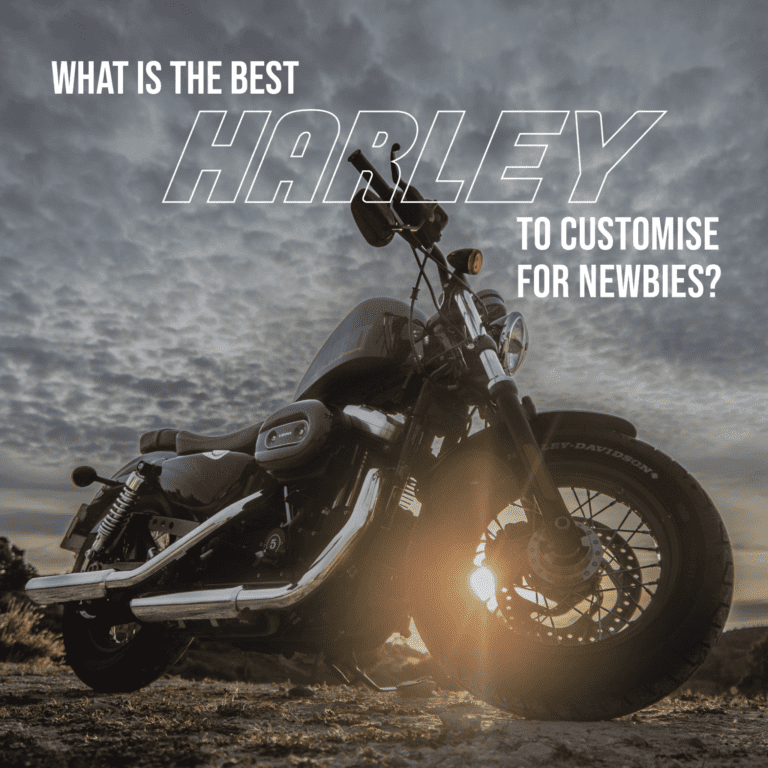 What Is The Best Harley to Customise for Newbies?